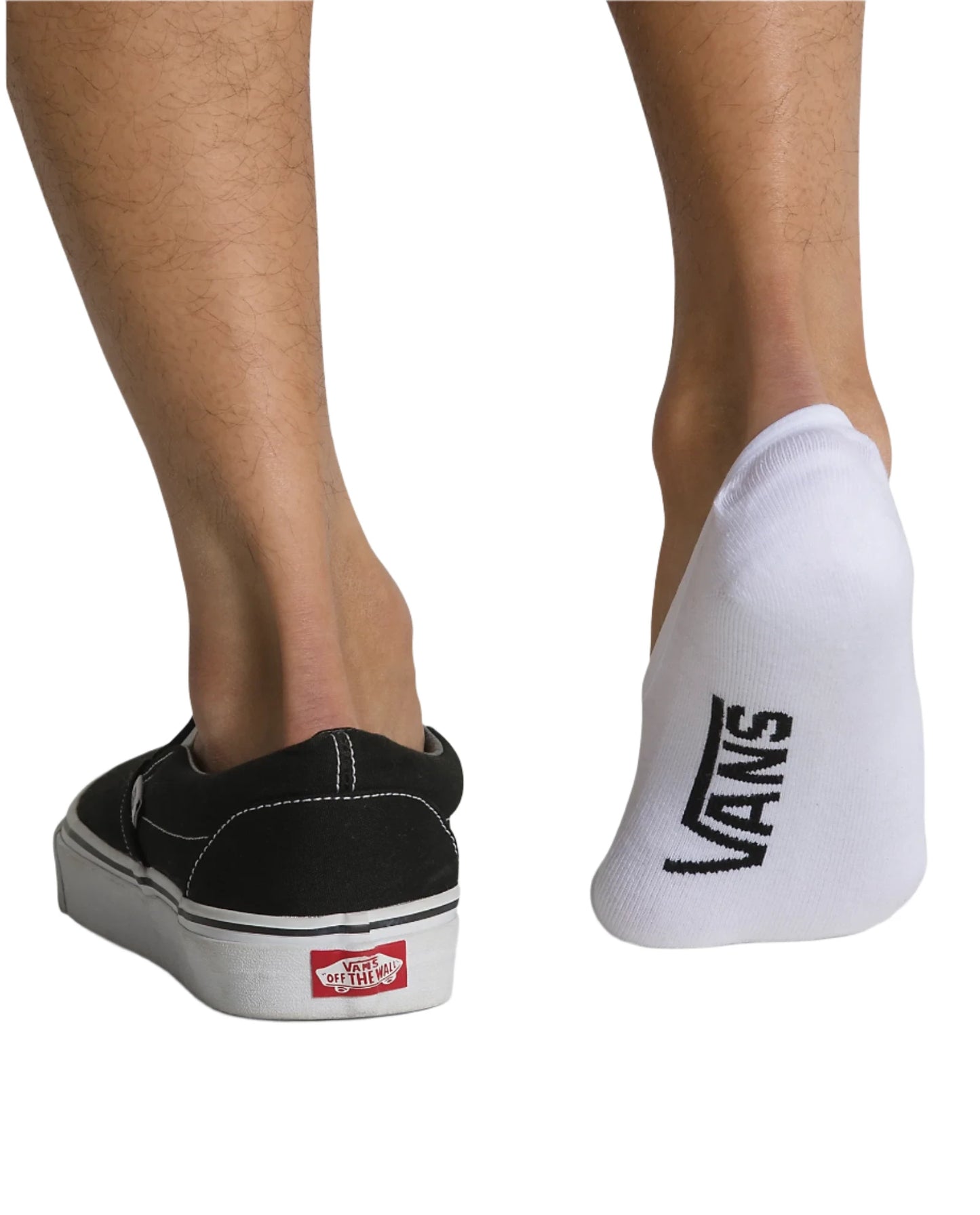 Vans Classic Super No Show 3 Pack Sock Black