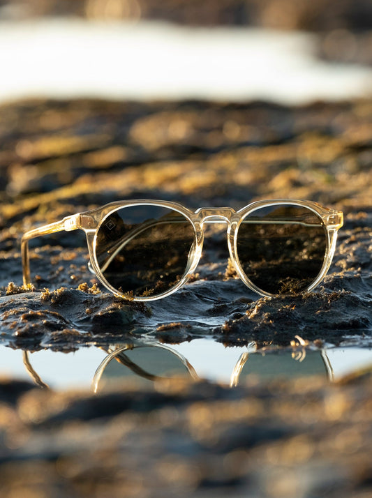 Raen Remmy Sunglasses