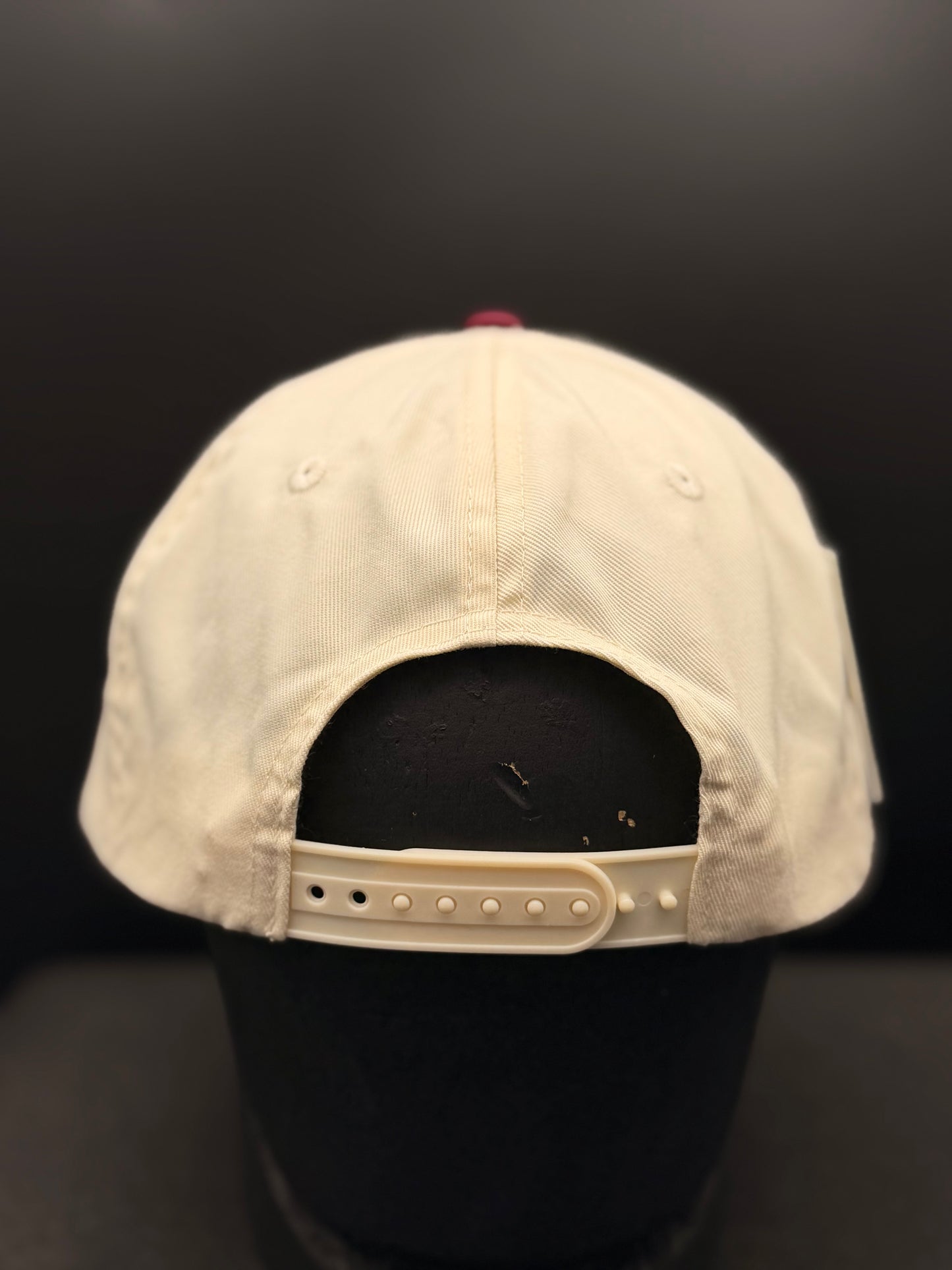 South Coast Soaring Snapback Hat