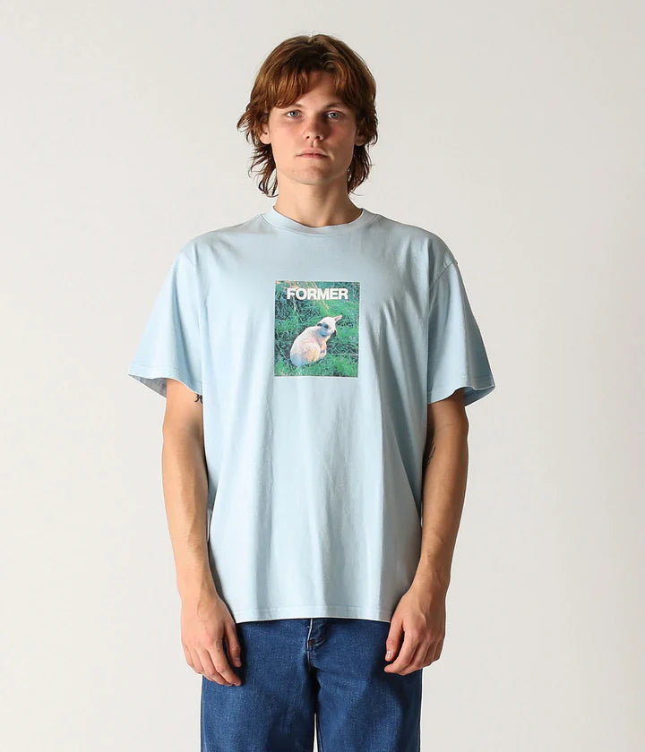 Former Innocence T-Shirt Mist