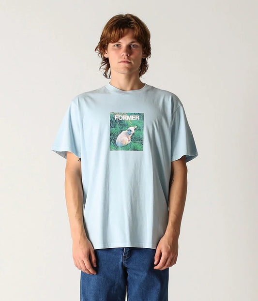 Former Innocence T-Shirt Mist