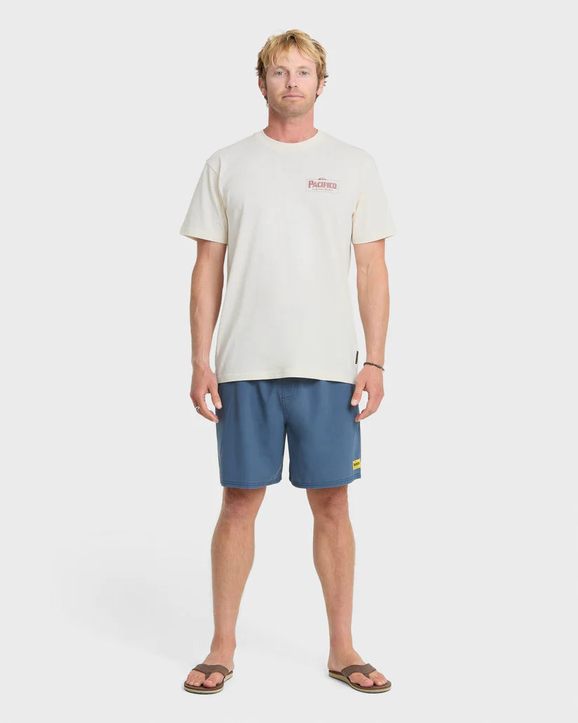 Quiksilver Men's Pacifico Sayulita Cruising Short Sleeve Cotton Tee Tofu