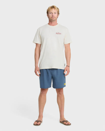 Quiksilver Men's Pacifico Sayulita Cruising Short Sleeve Cotton Tee Tofu