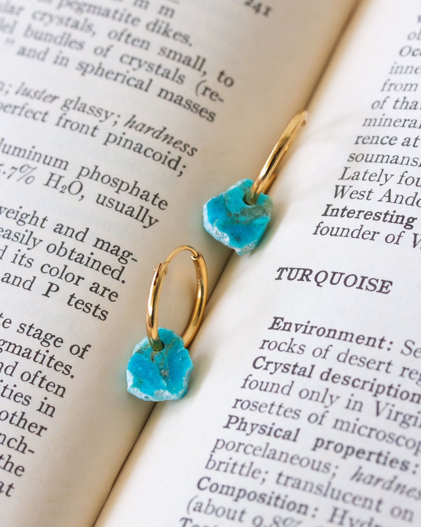Bare Mineral Hoop Earring