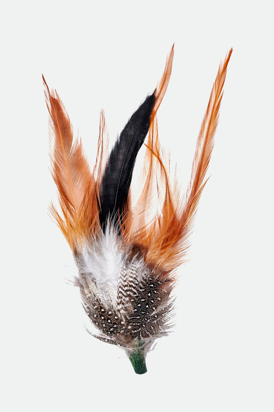 Brixton Hat Feather - Burnt Orange/Black/Mahogany